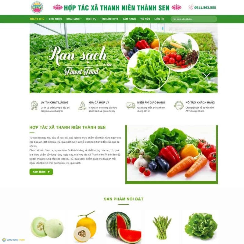 Thiết kế web hợp tác xã nông sản, rau sạch - CDW, Bán hàng, Thực phẩm, Nông sản, Rau củ quả