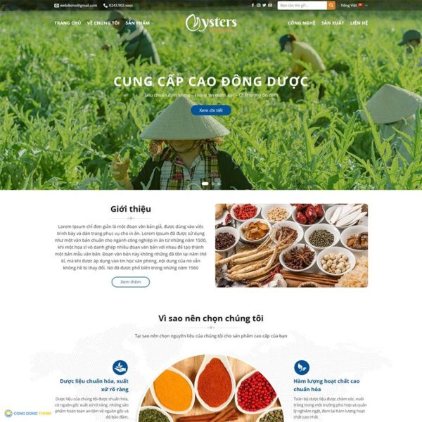 Thiết kế web thực phẩm chức năng 23 - CDW, Thực phẩm, Dược phẩm, Đông dược, Thực phẩm chức năng